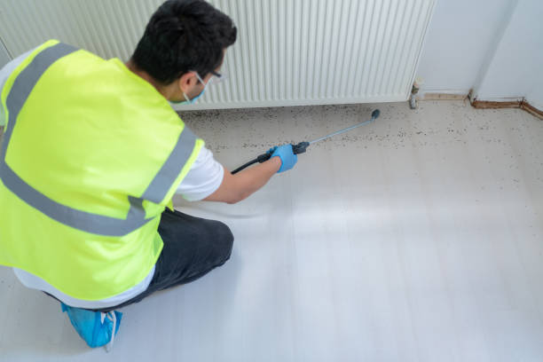 Pest Control for Warehouses in Airway Heights, WA